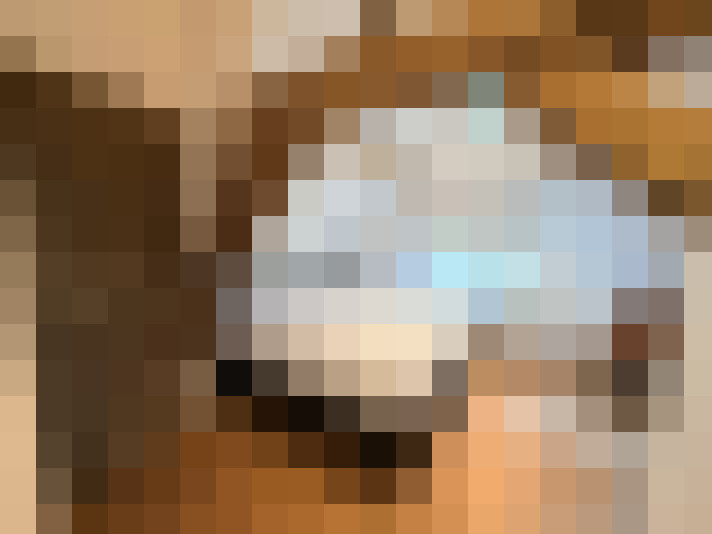  / #16