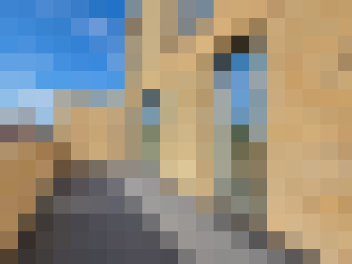  / #16