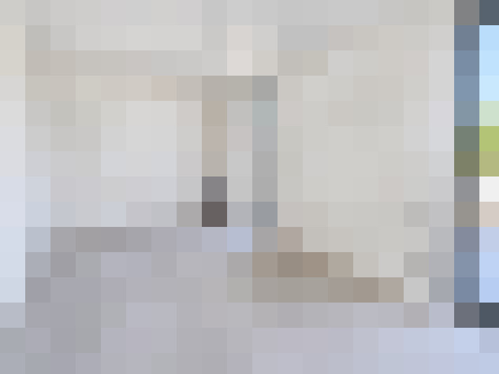  / #23