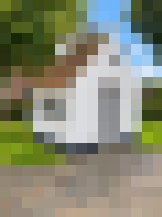  / #5