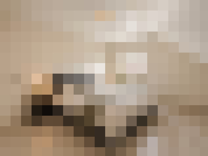  / #18