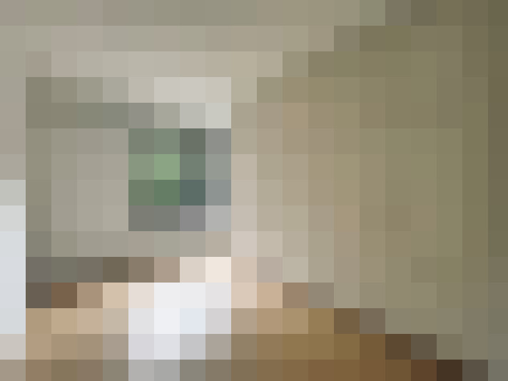  / #11