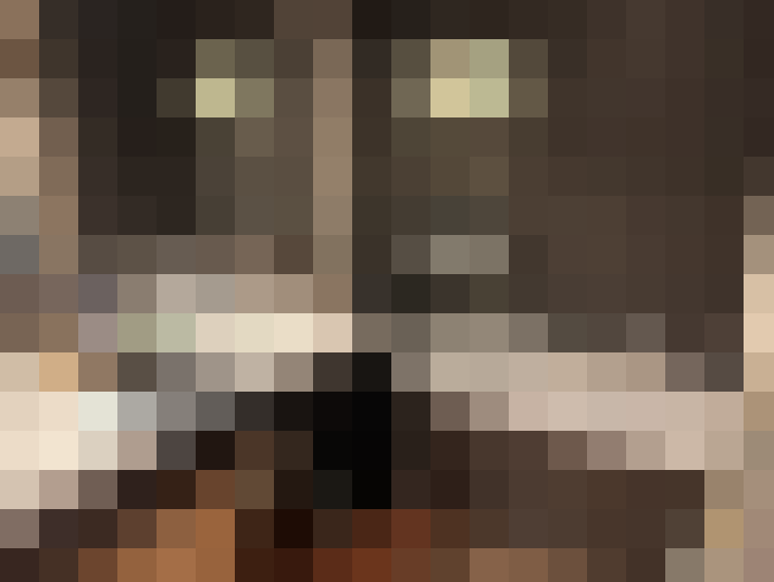  / #11