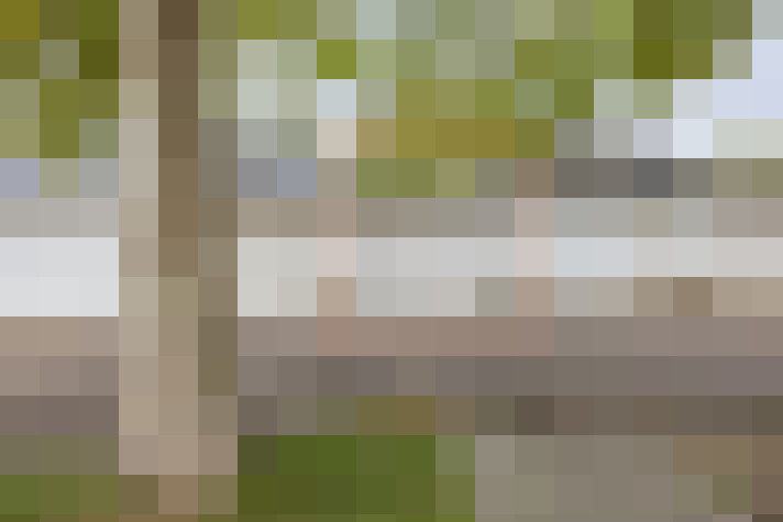  / #18