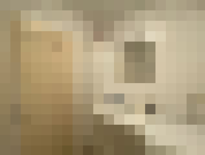  / #9