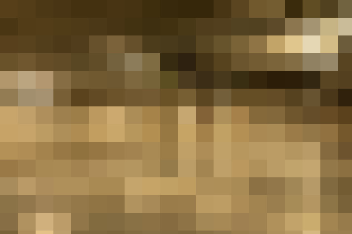  / #11
