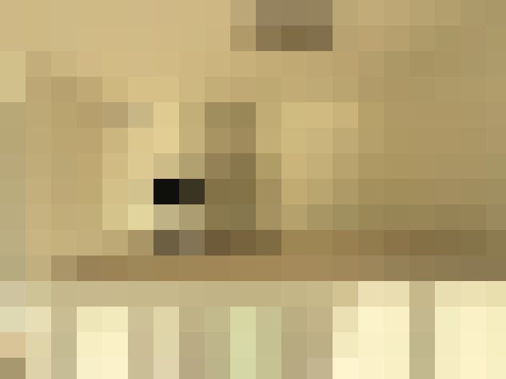  / #6
