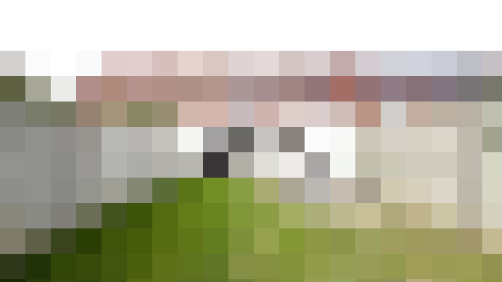  / #16