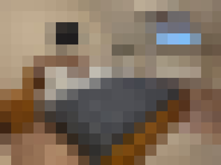  / #17