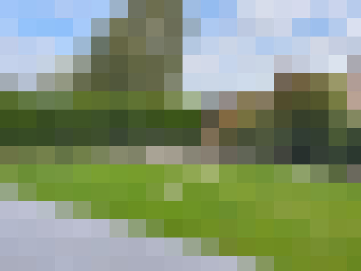  / #7