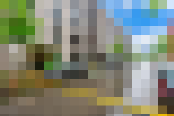  / #16