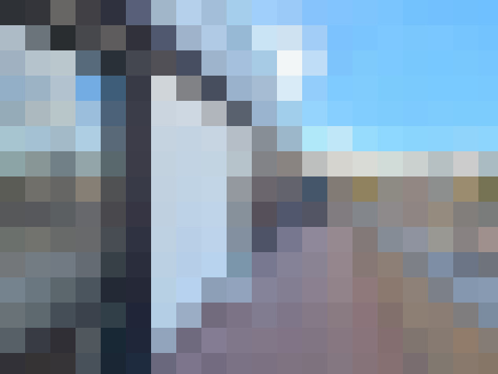 / #8