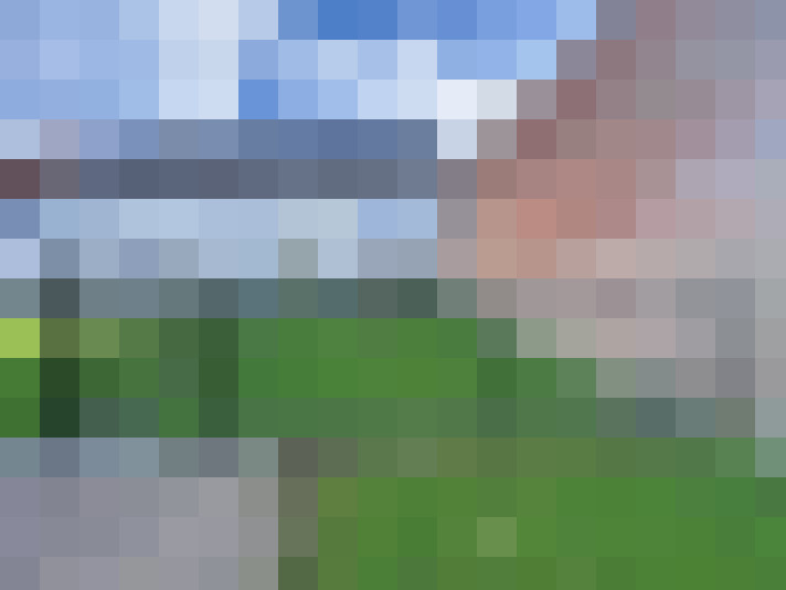  / #16