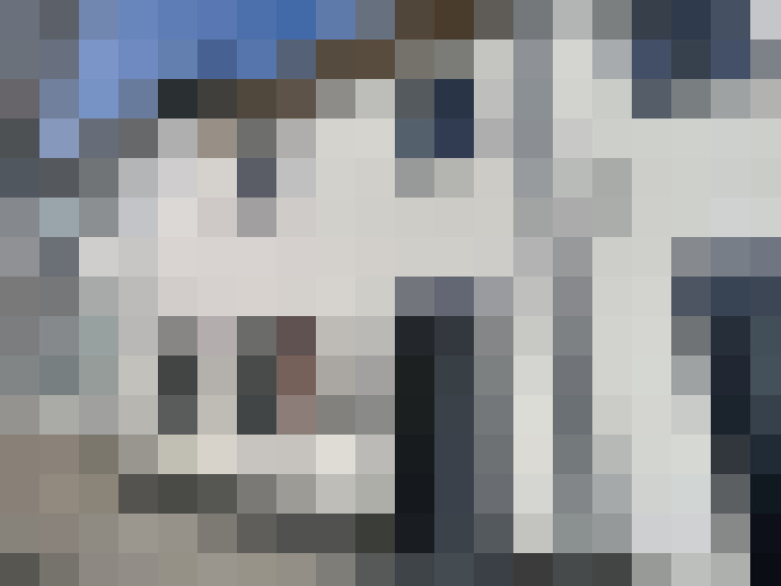  / #17