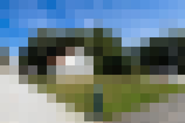  / #16