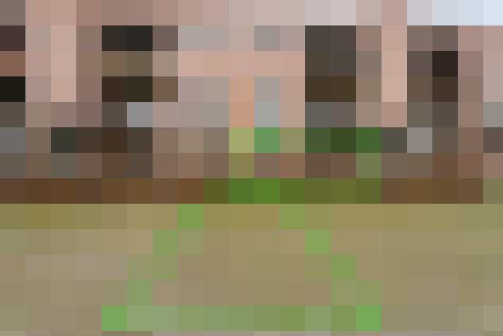 Image 16