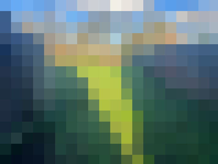 Image 20