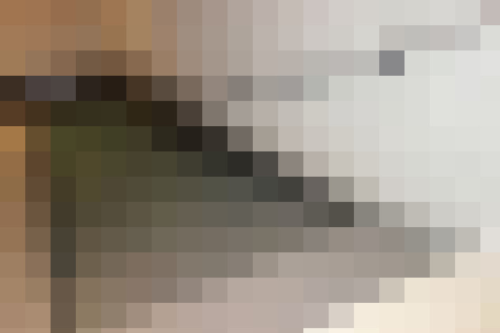 Image 25