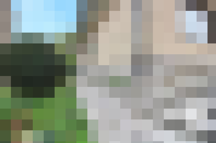 Image 17