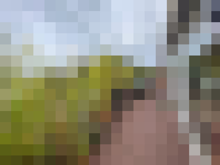 Image 17