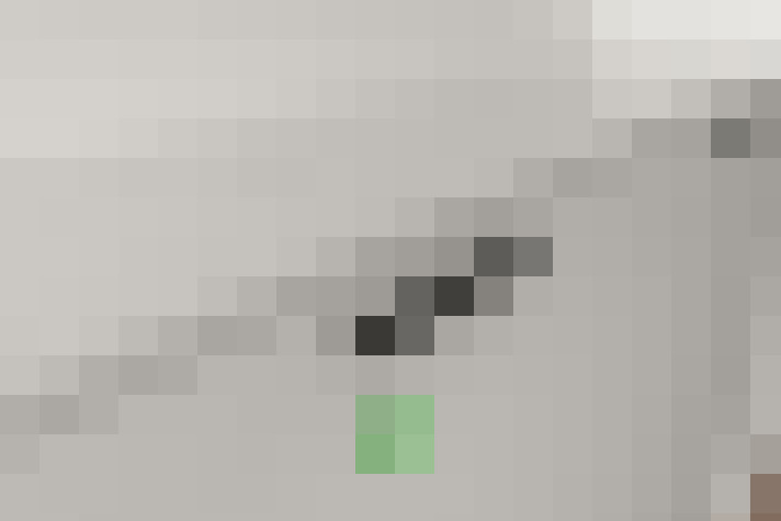  / #13