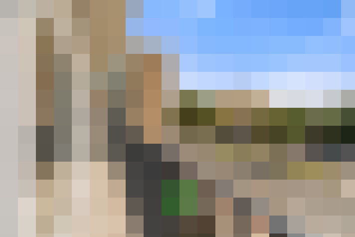  / #19