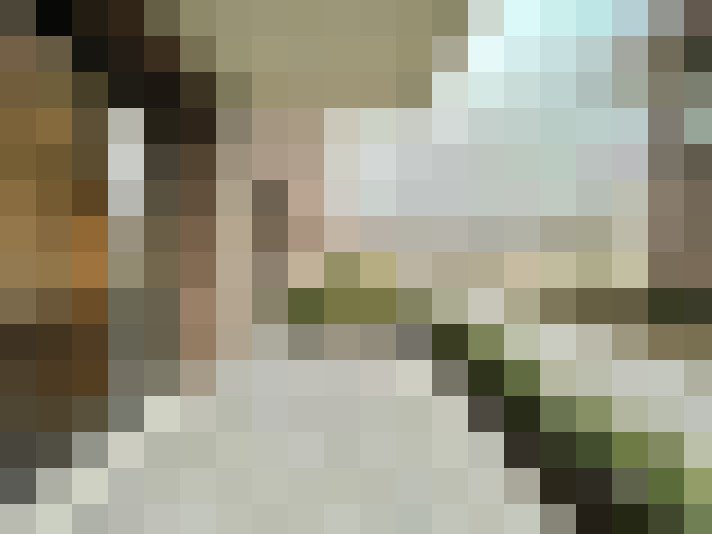 Image 16
