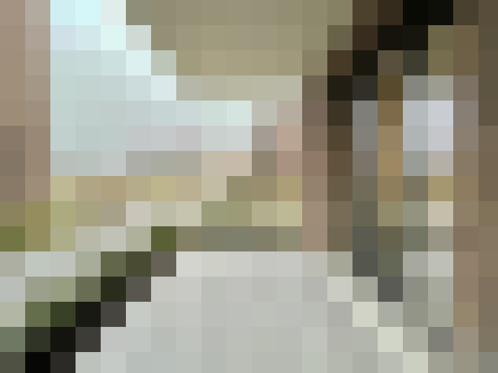 Image 15