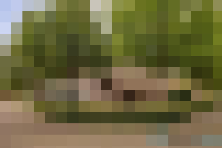 Image 18