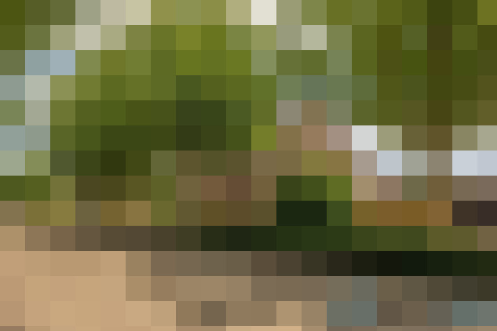 Image 20