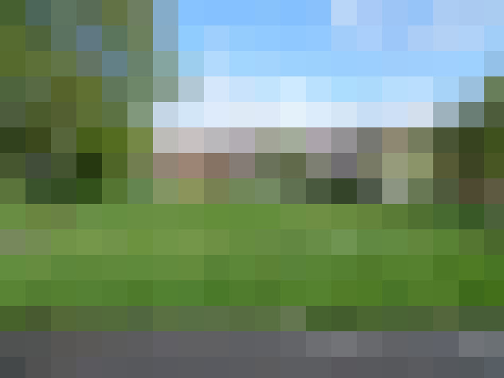 Image 14