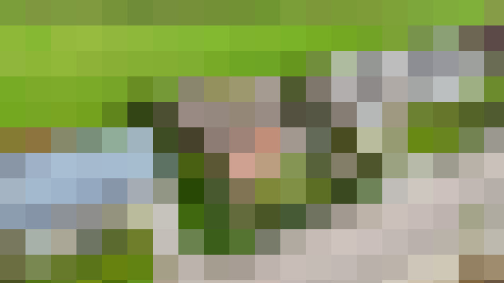 Image 18