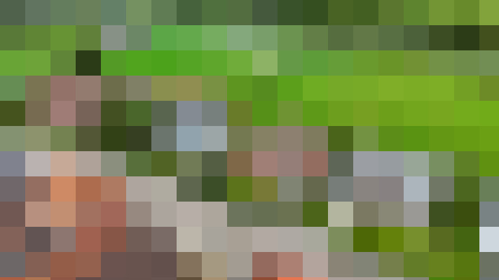 Image 17