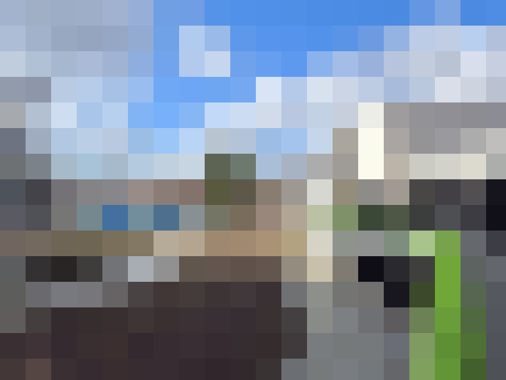 Image 31