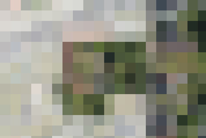 Image 14