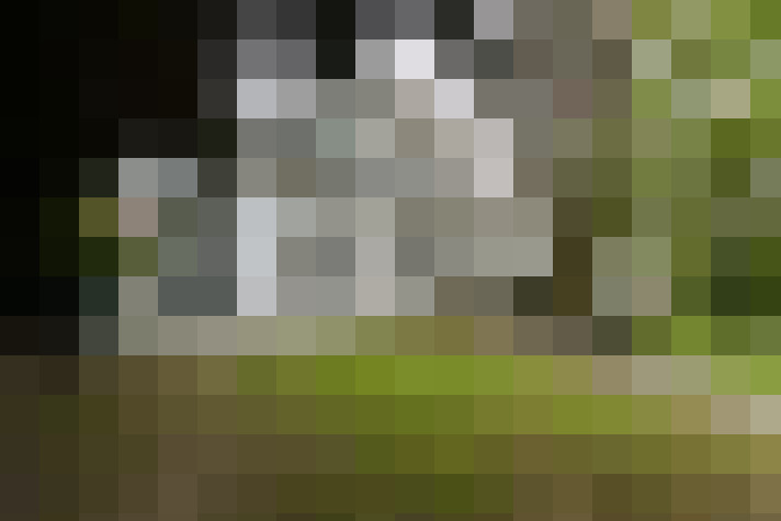 Image 48
