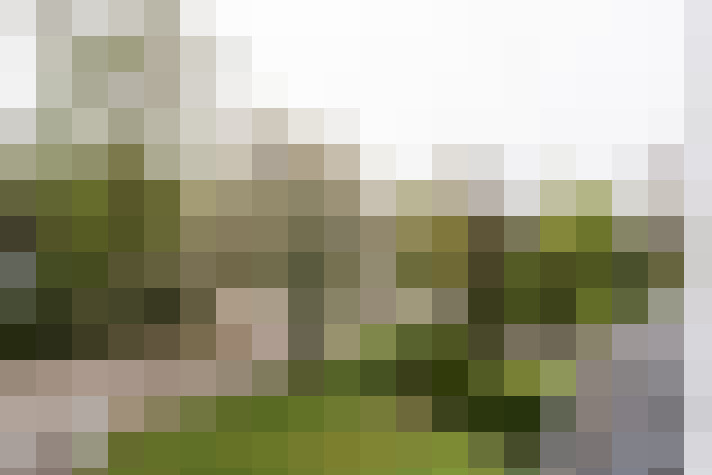 Image 34
