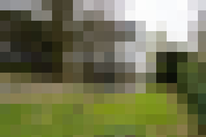 Image 41