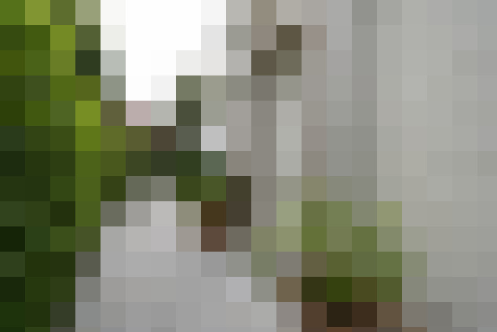 Image 39