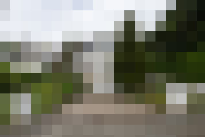 Image 46