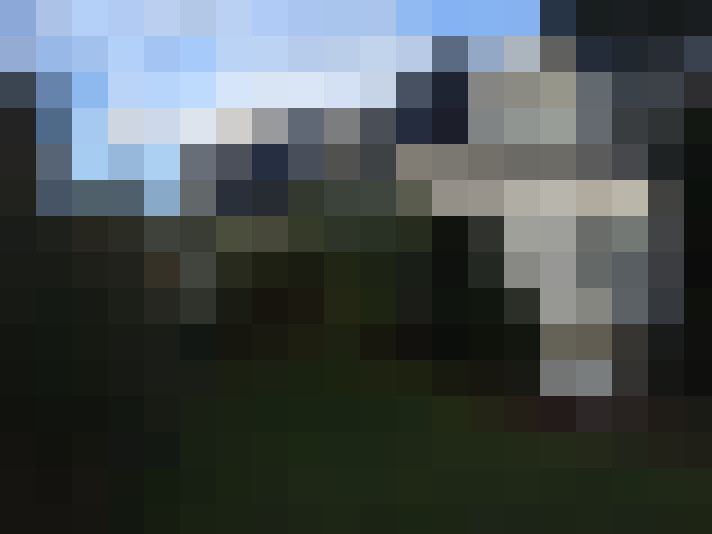 Image 21