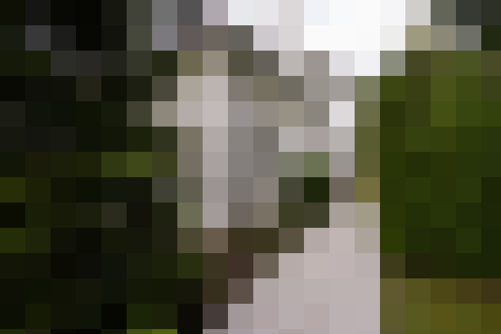 Image 47
