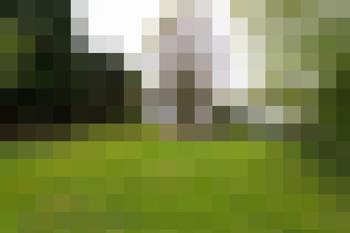 Image 44