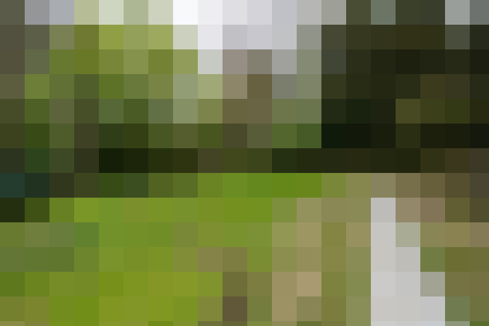 Image 42
