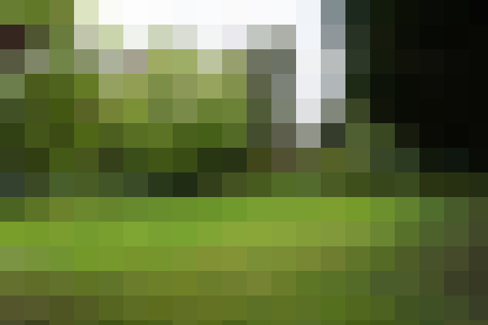 Image 45