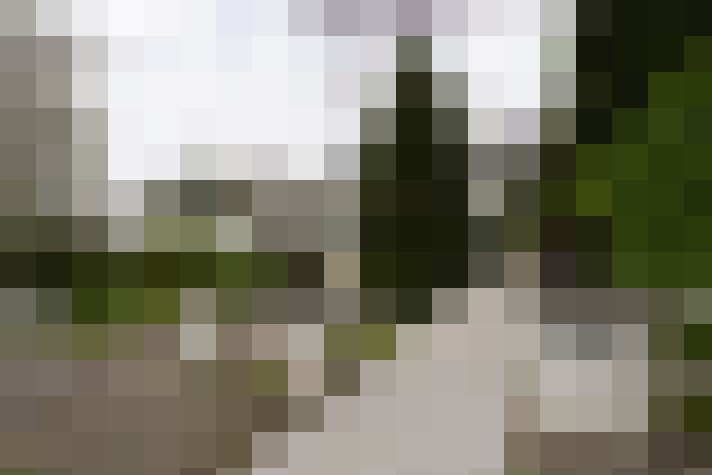 Image 49