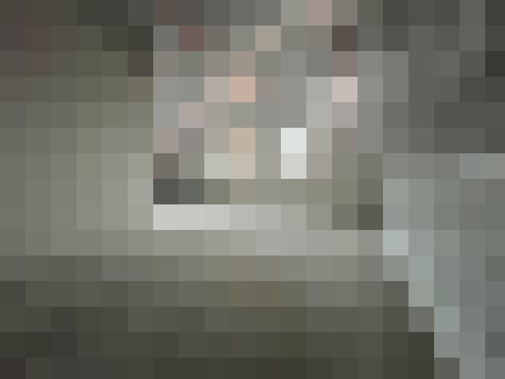 Image 51