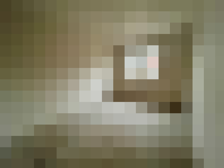 Image 32
