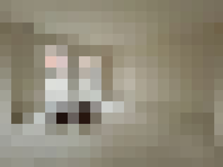 Image 17