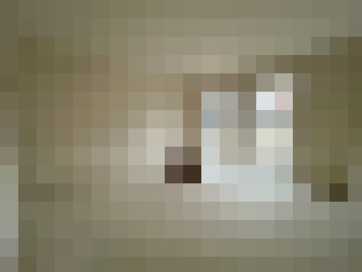 Image 18